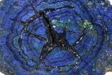 Vivid Blue, Cut/Polished Azurite & Malachite Nodule Slice #209482-1